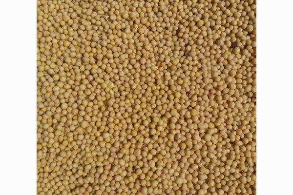 Ссылка на кракен kr2web in