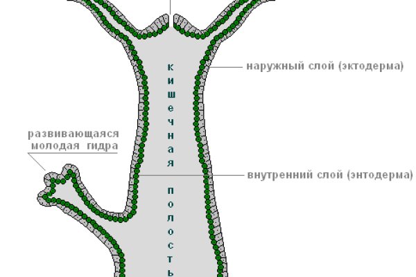 Кракен почему не заходит