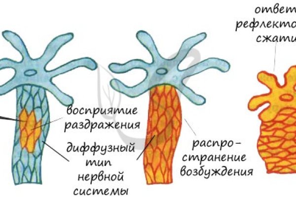 Кракен сайт регистрация